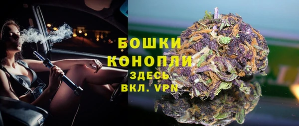 первитин Осинники