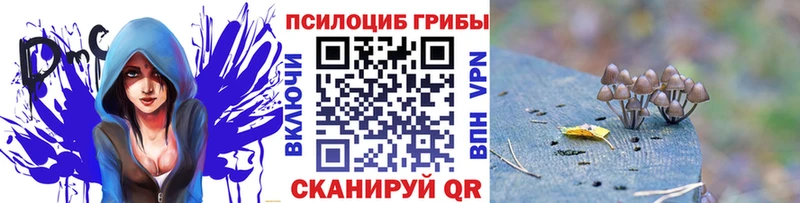 Галлюциногенные грибы Psilocybe  Купить закладки  Белая Калитва 